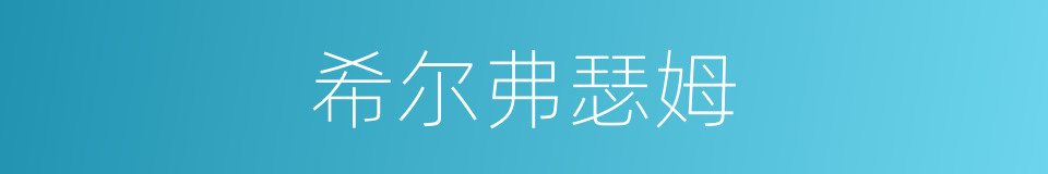 希尔弗瑟姆的同义词