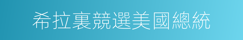 希拉裏競選美國總統的同義詞