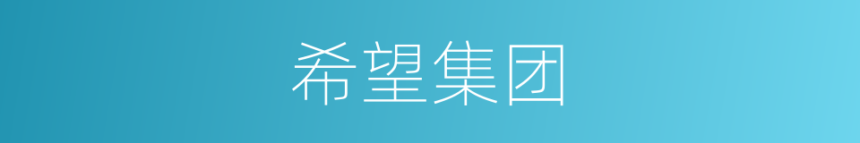 希望集团的同义词