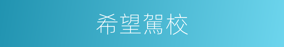 希望駕校的同義詞