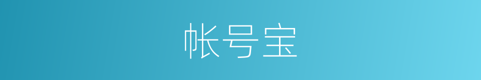 帐号宝的同义词
