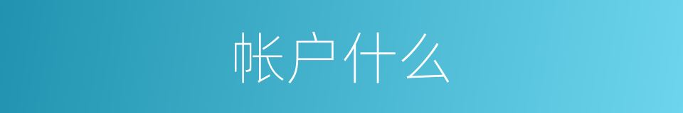 帐户什么的意思
