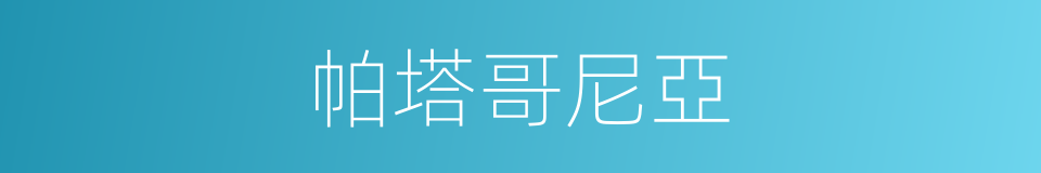帕塔哥尼亞的同義詞