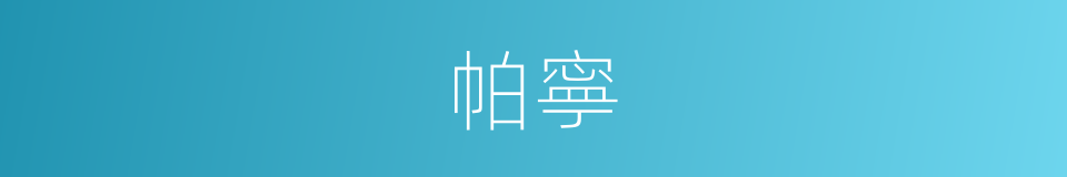帕寧的同義詞