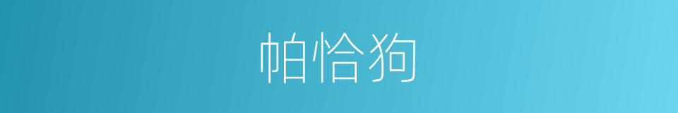 帕恰狗的同义词