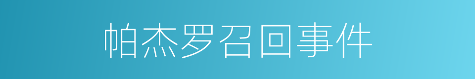 帕杰罗召回事件的同义词