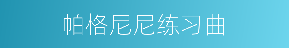 帕格尼尼练习曲的同义词