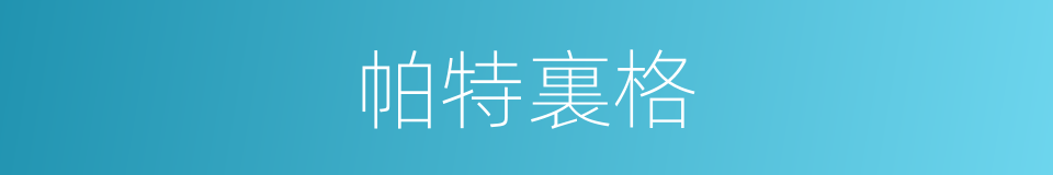 帕特裏格的同義詞