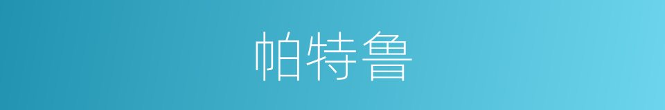 帕特鲁的同义词