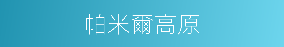 帕米爾高原的意思