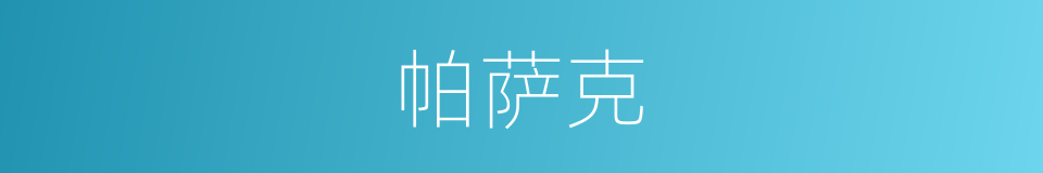 帕萨克的同义词