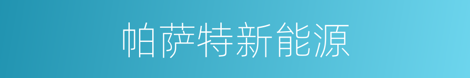 帕萨特新能源的同义词