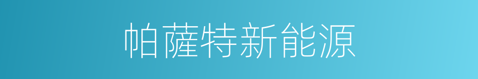帕薩特新能源的同義詞