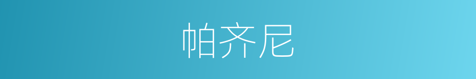 帕齐尼的同义词