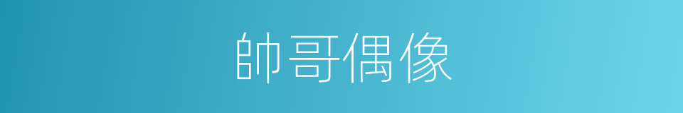 帥哥偶像的同義詞