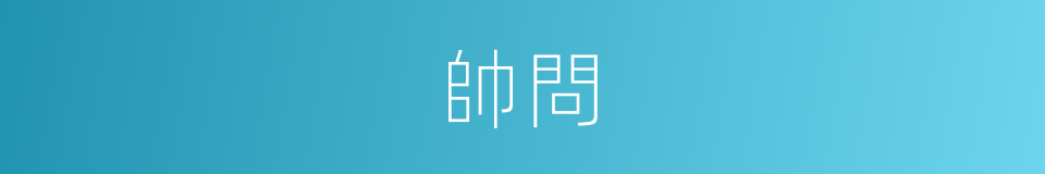 帥問的同義詞