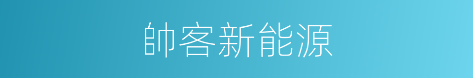 帥客新能源的同義詞