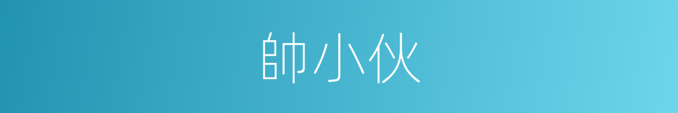 帥小伙的同義詞