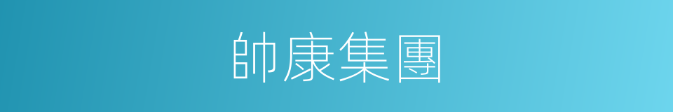 帥康集團的同義詞