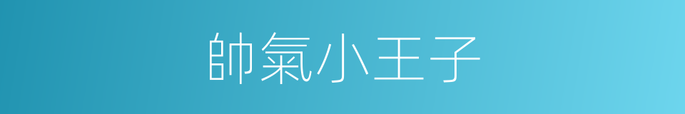 帥氣小王子的同義詞