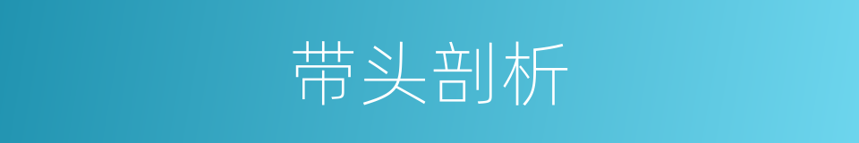 带头剖析的同义词