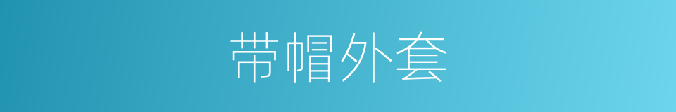 带帽外套的同义词