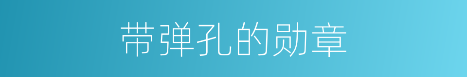 带弹孔的勋章的同义词