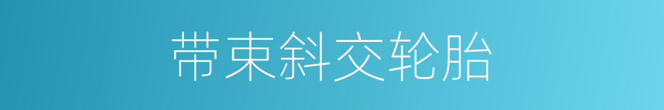 带束斜交轮胎的同义词