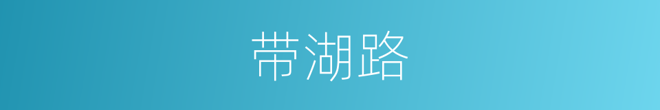 带湖路的同义词