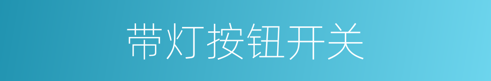 带灯按钮开关的同义词