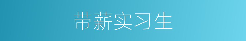 带薪实习生的同义词