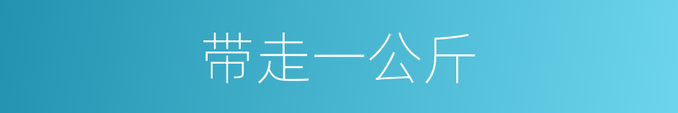 带走一公斤的同义词