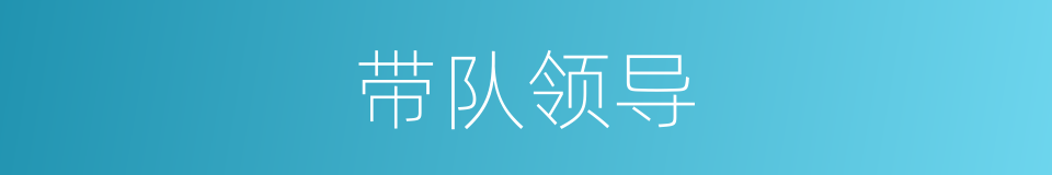 带队领导的同义词