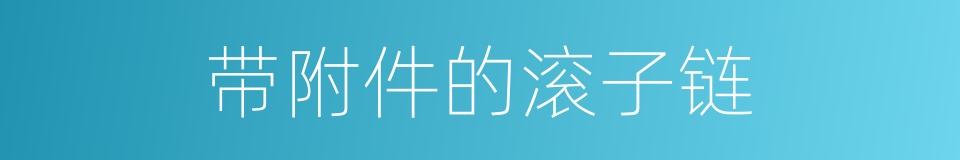 带附件的滚子链的同义词