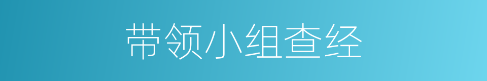 带领小组查经的同义词