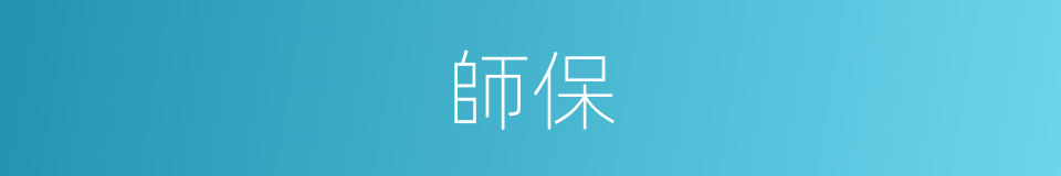 師保的意思