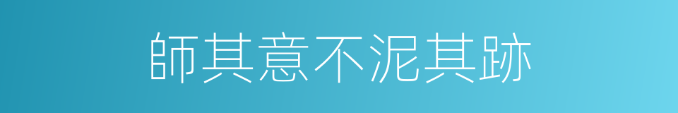 師其意不泥其跡的意思