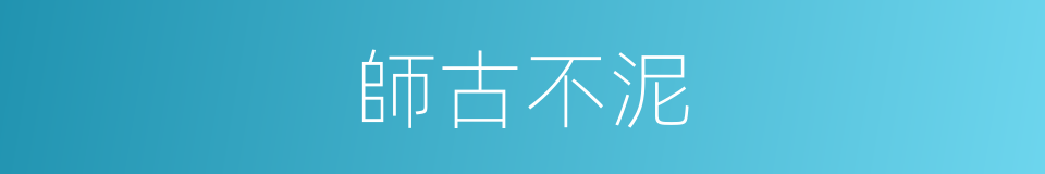 師古不泥的意思