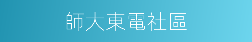 師大東電社區的同義詞