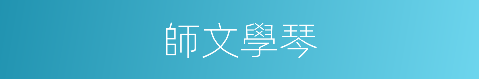 師文學琴的同義詞