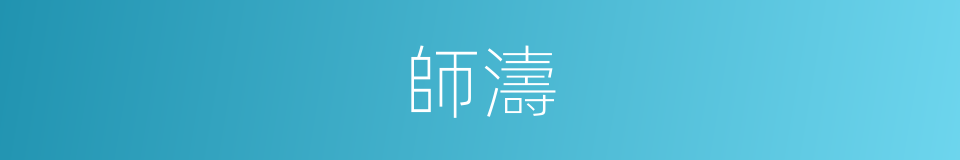 師濤的同義詞