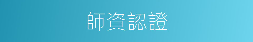 師資認證的同義詞