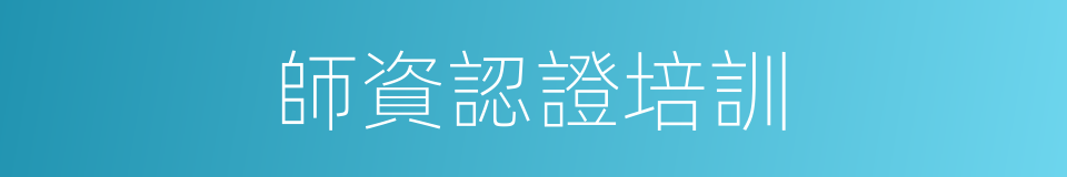 師資認證培訓的同義詞