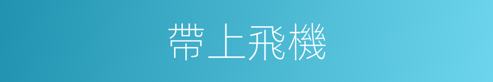 帶上飛機的同義詞
