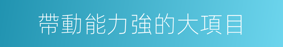 帶動能力強的大項目的同義詞