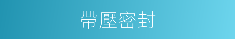 帶壓密封的同義詞