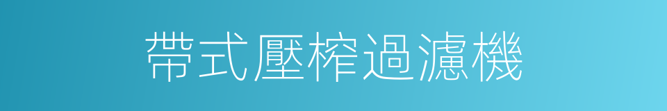 帶式壓榨過濾機的同義詞
