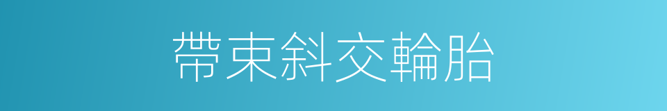 帶束斜交輪胎的同義詞