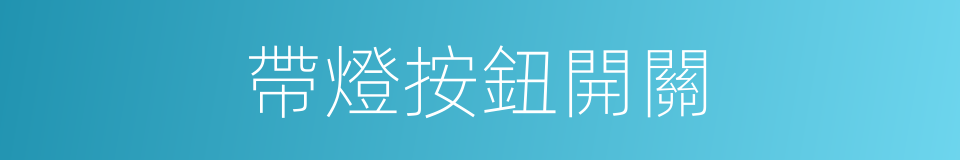 帶燈按鈕開關的同義詞