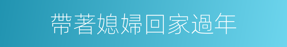 帶著媳婦回家過年的同義詞